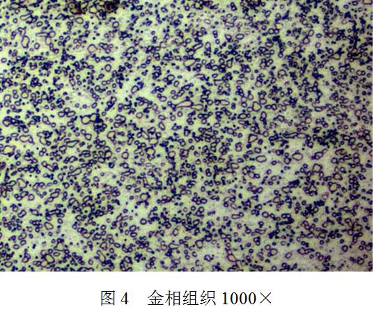 S呼˻|(zh)a(chn)ɱ